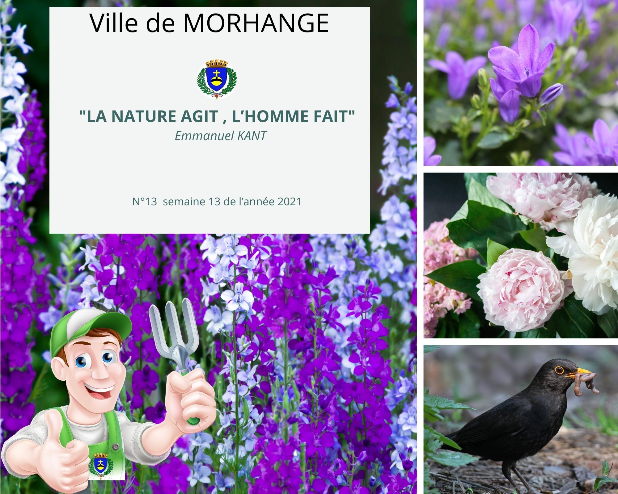 La nature agit, l'homme fait : Semaine 13